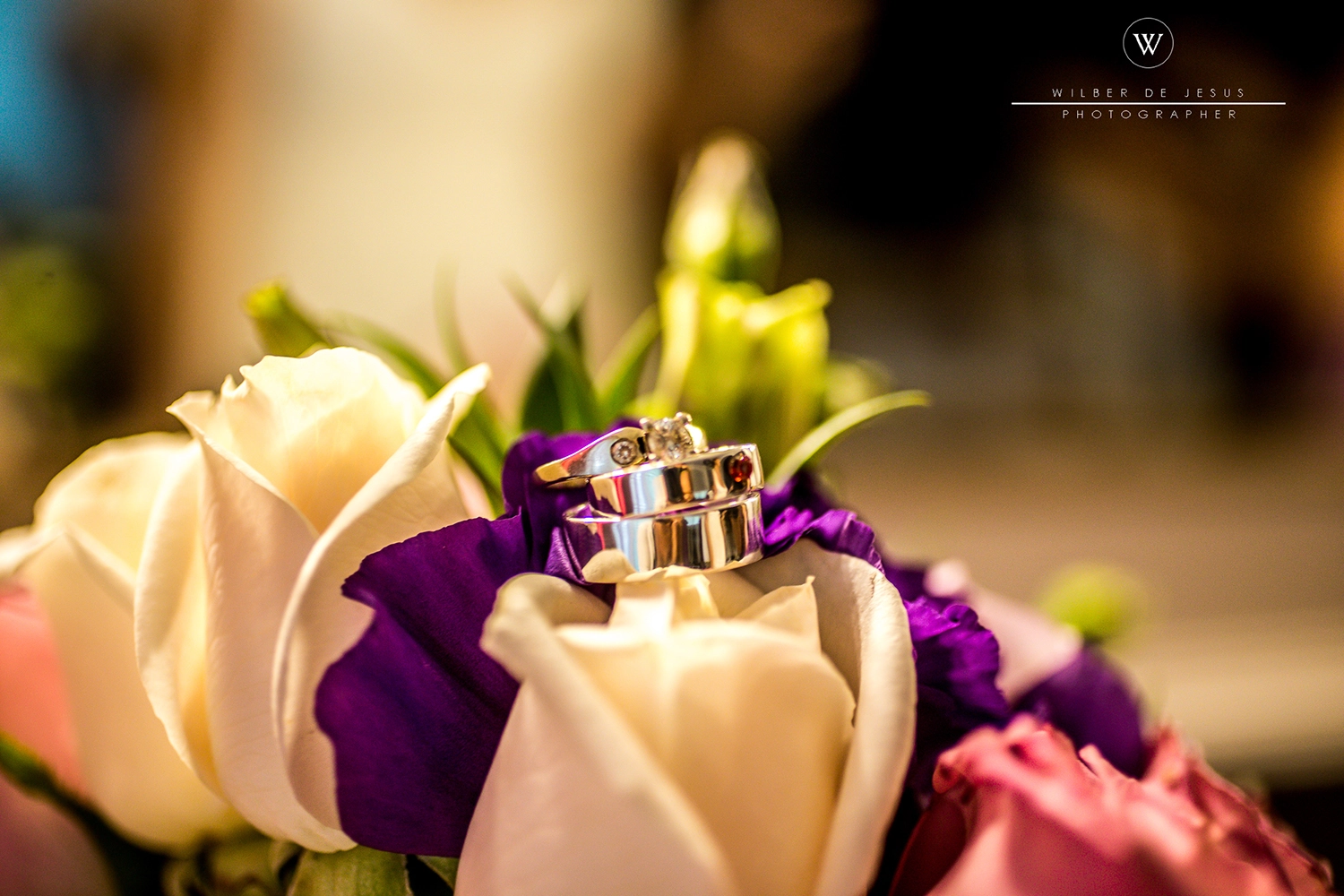 Will Photographer | Wedding Ale & Moy