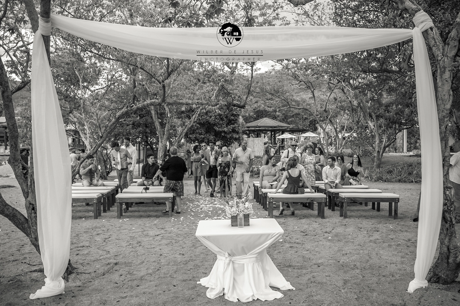 Will Photographer | Bellaro Wedding