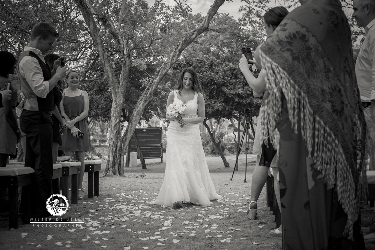 Will Photographer | Bellaro Wedding