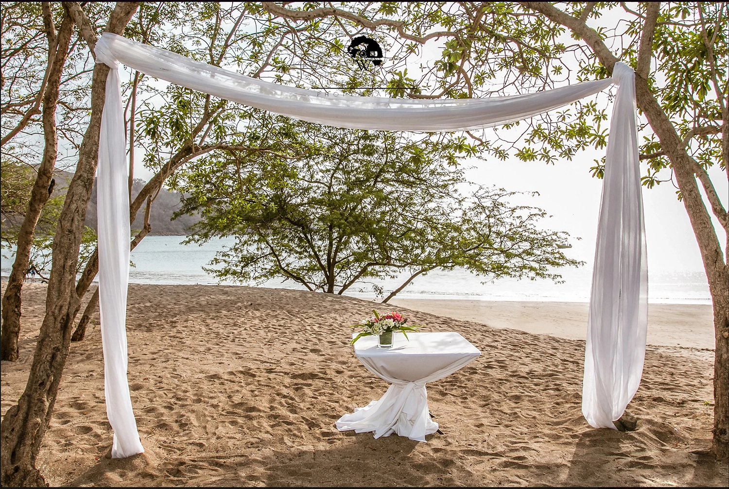 Will Photographer | Craigue Wedding