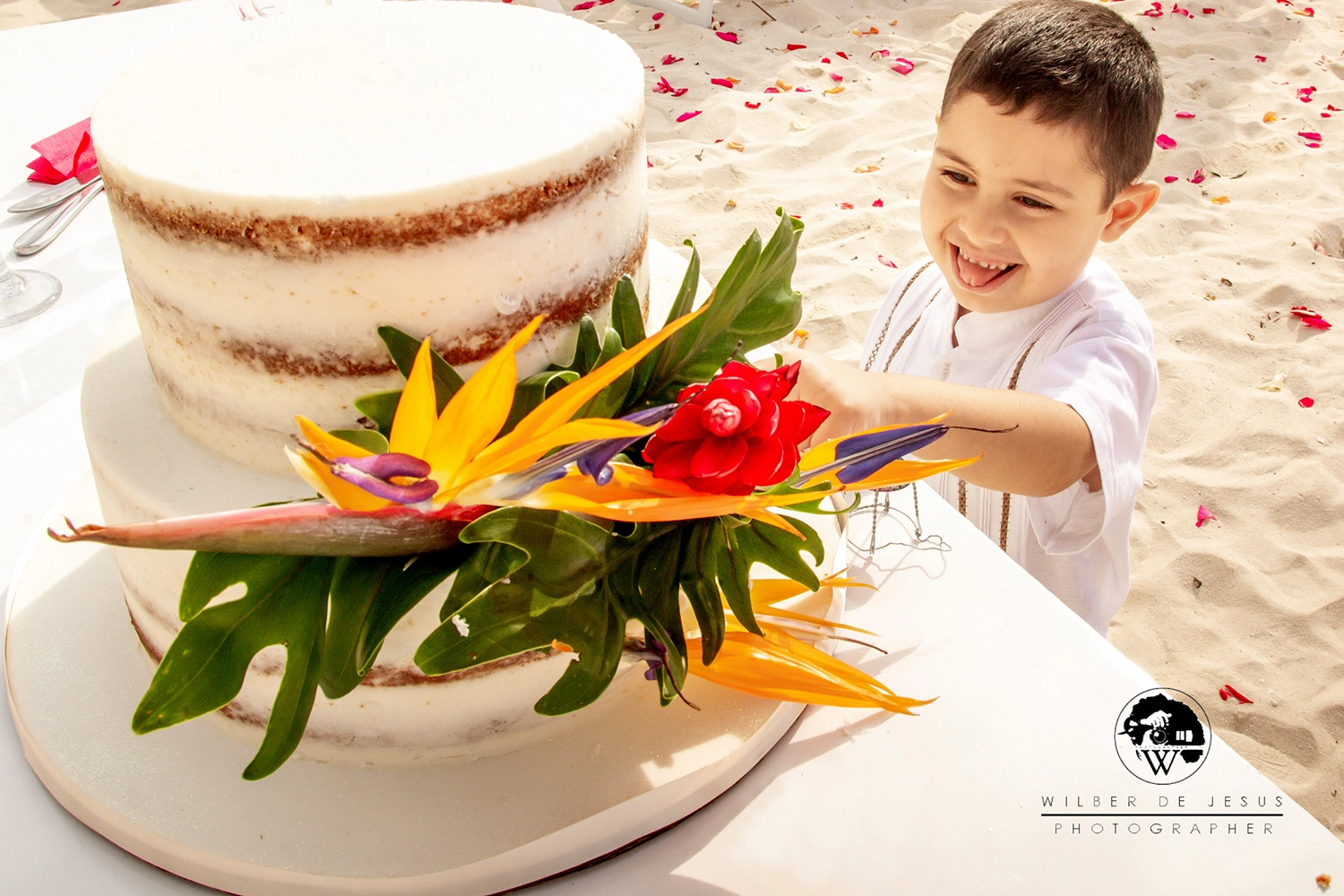 Will Photographer | Wedding Gurhan & Liliana