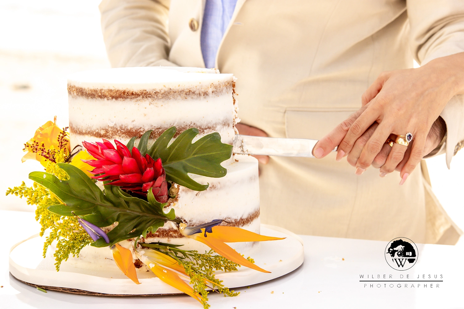 Will Photographer | Wedding Gurhan & Liliana