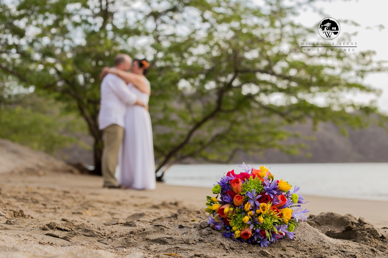 Will Photographer | Handbee Wedding