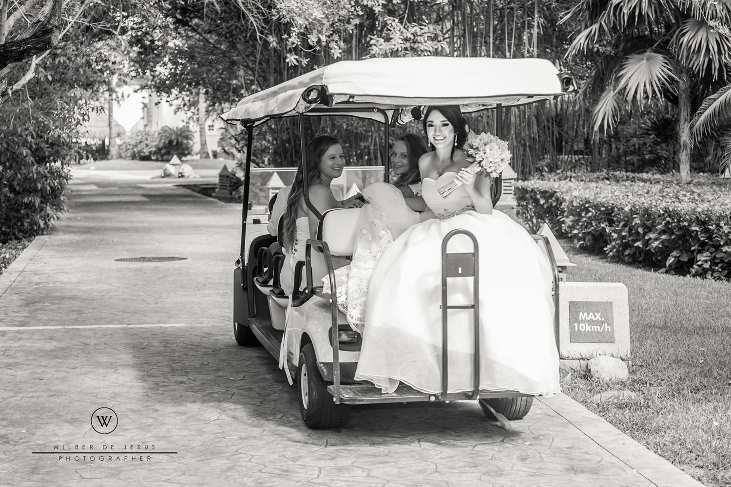 Will Photographer | Wedding Verónica & Mauricio