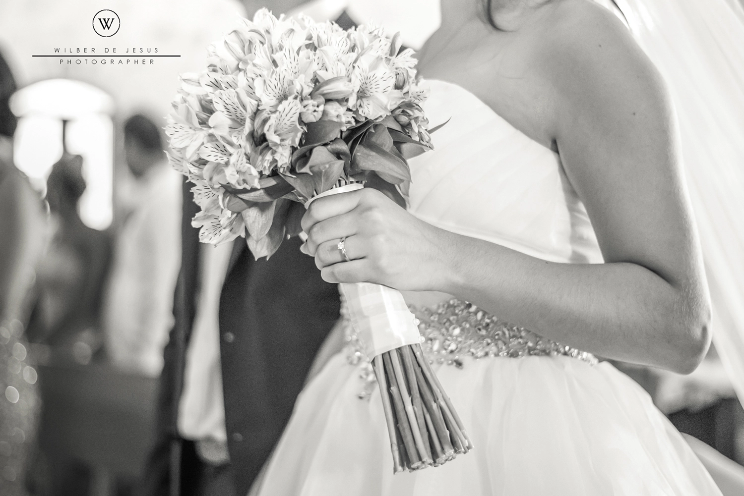 Will Photographer | Wedding Verónica & Mauricio