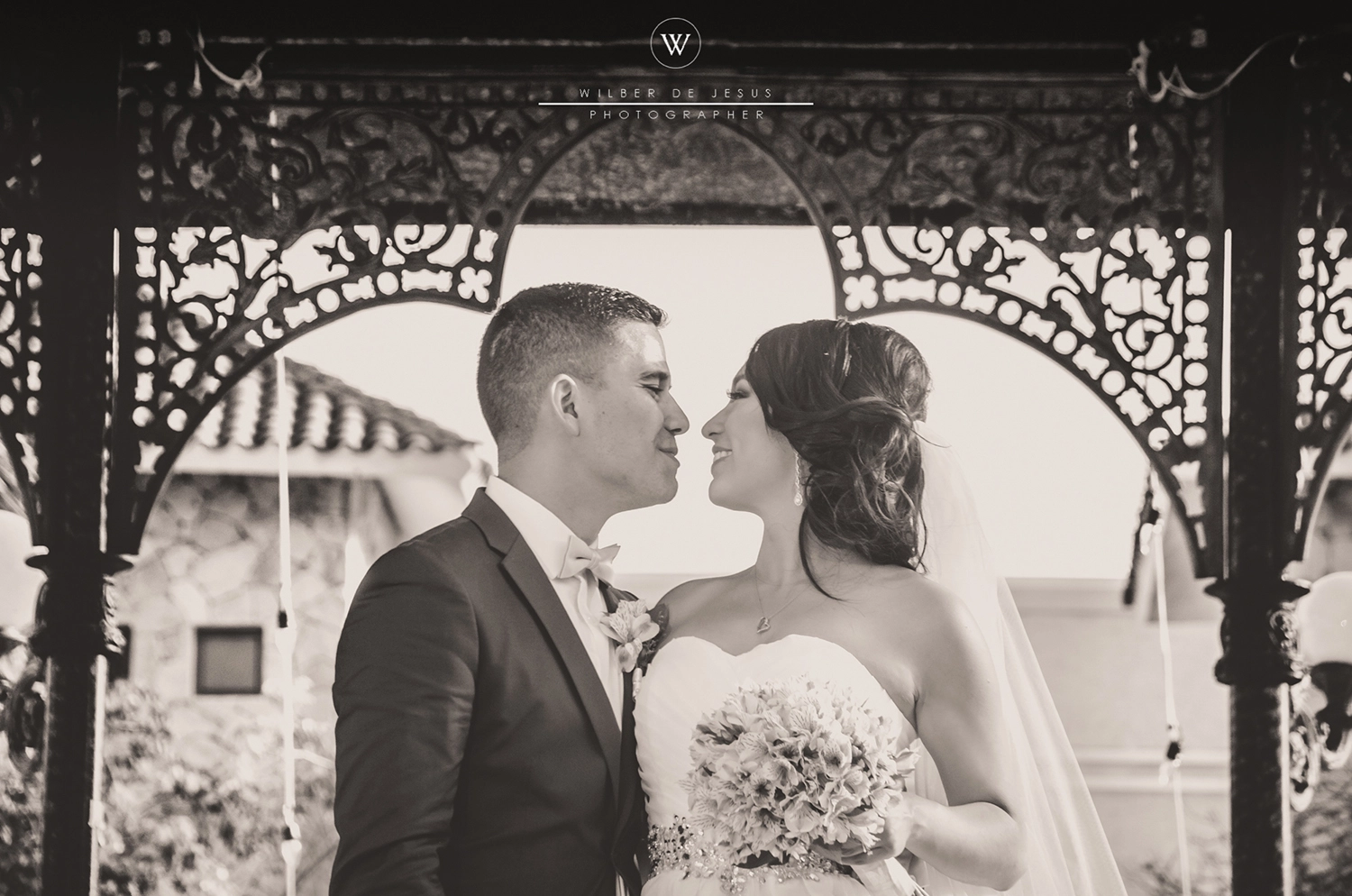 Will Photographer | Wedding Verónica & Mauricio