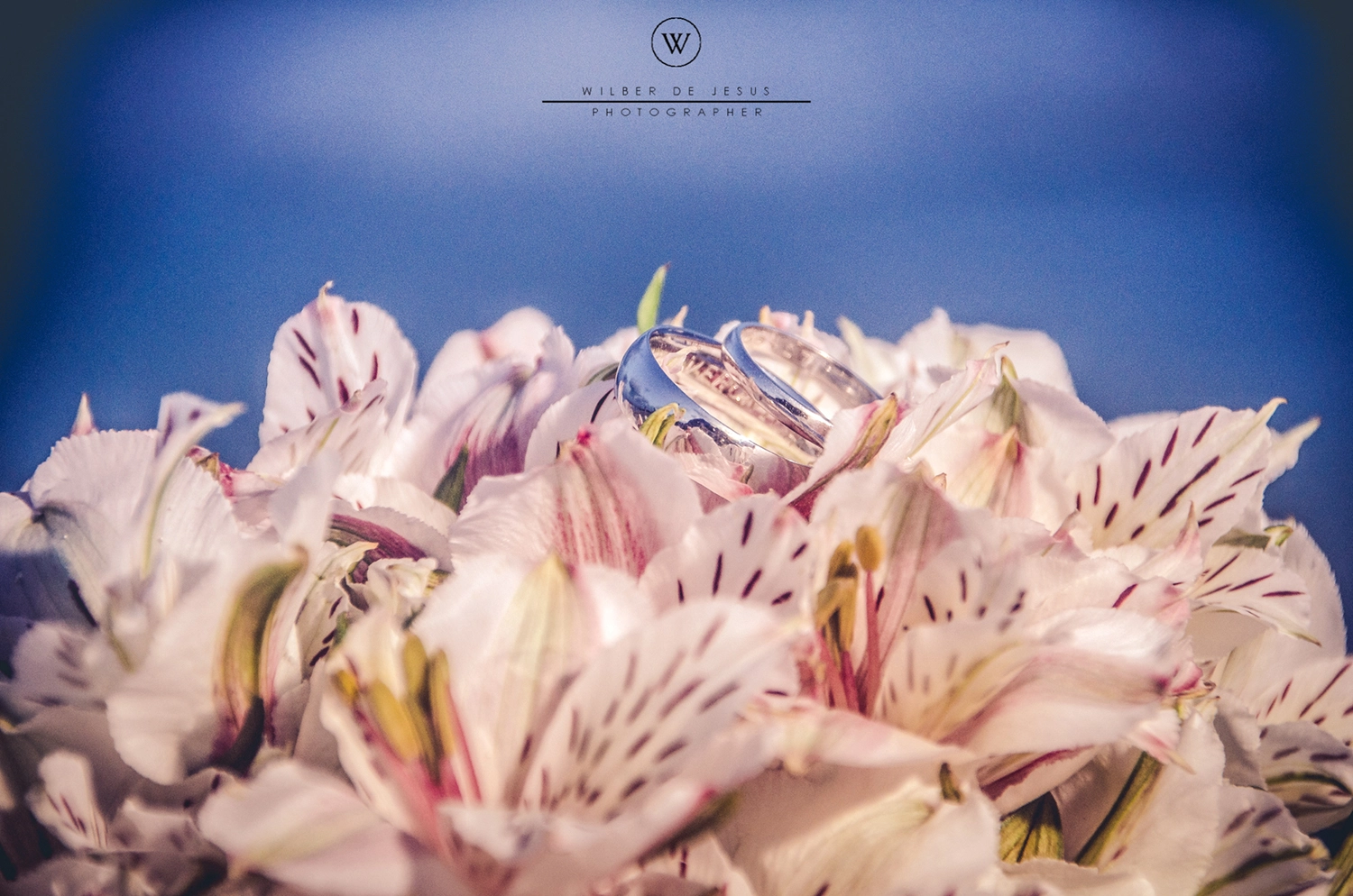 Will Photographer | Wedding Verónica & Mauricio